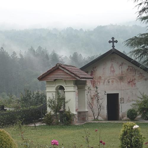Photo #4776592