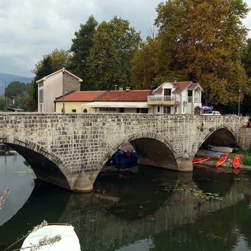 Photo #4776651