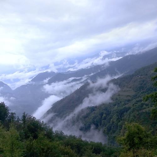 Photo #4776927
