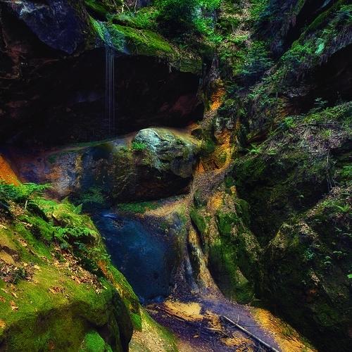 Green paradise...