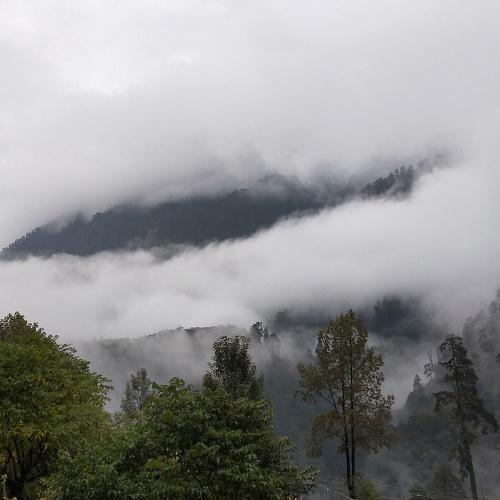 Photo #4777212
