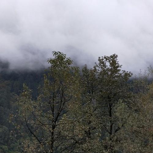 Photo #4777339