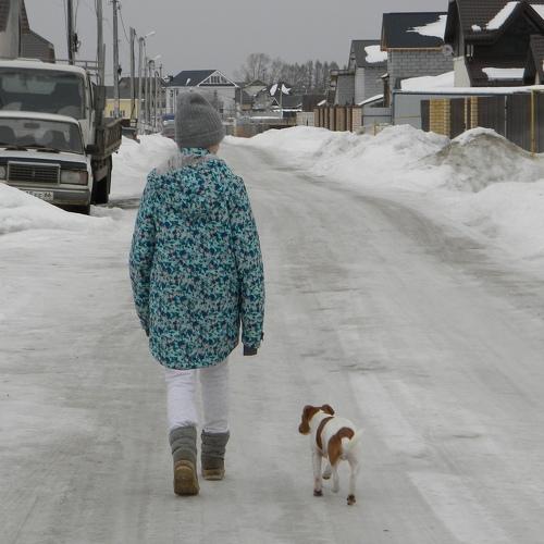 Photo #4777506