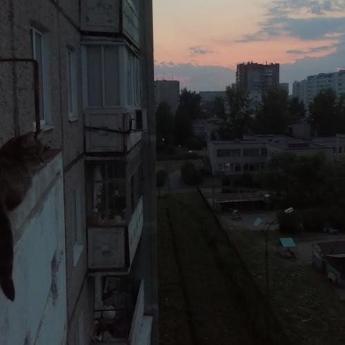 Photo #4777610