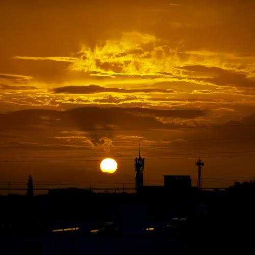 Photo #4777648