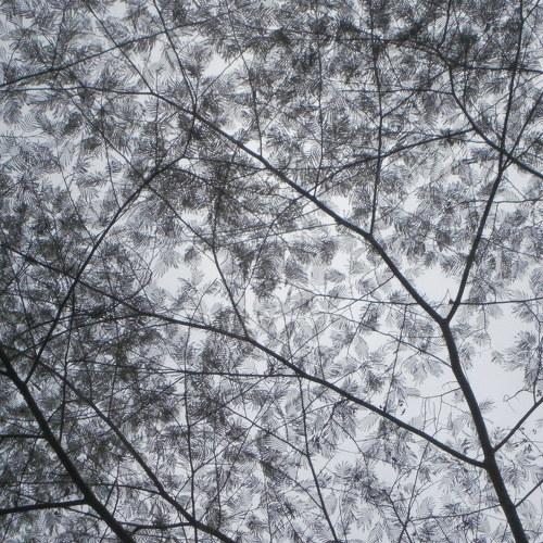 Transparencias