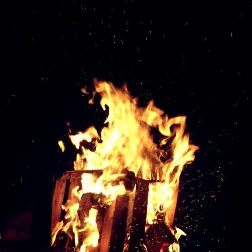 Photo #4777728