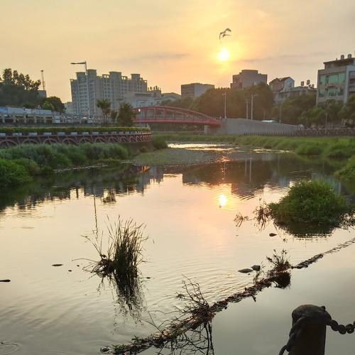 Photo #4777767