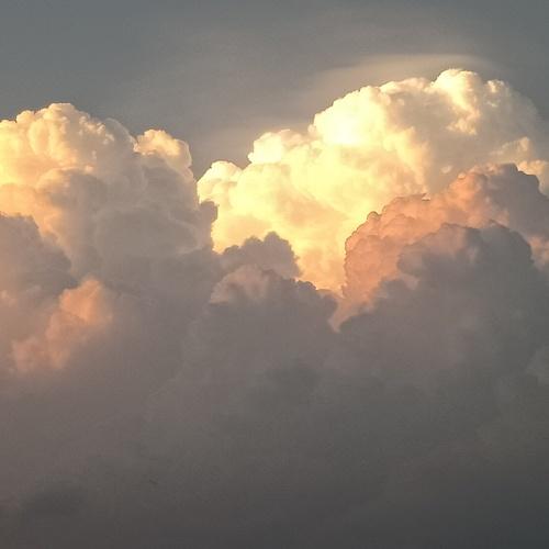 Photo #4777814