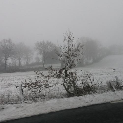 Photo #4777934
