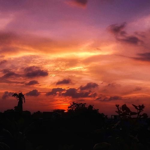 Photo #4777938