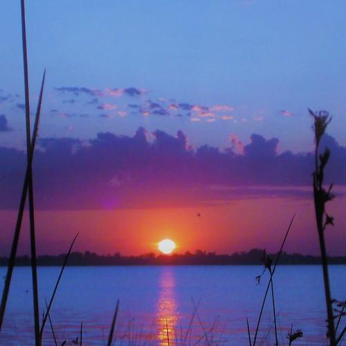 Photo #4778301