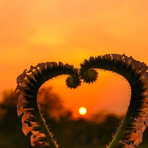 Photo #4778402