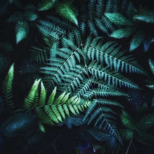 Photo #4778444