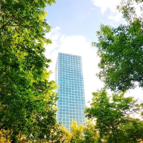 Photo #4778662