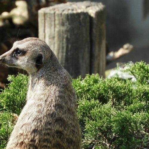 Photo #4778680