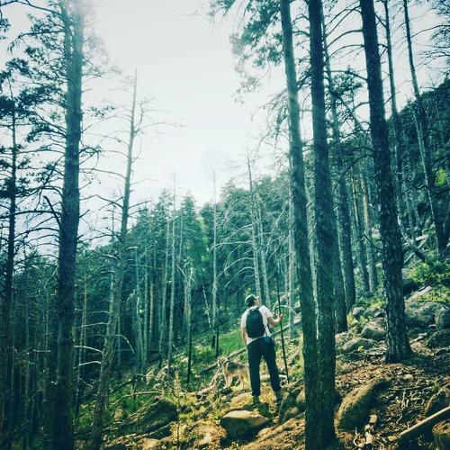 Photo #4778710
