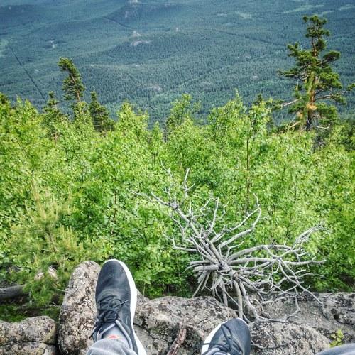 Photo #4778711