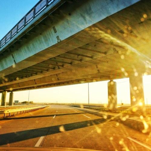 Photo #4778716