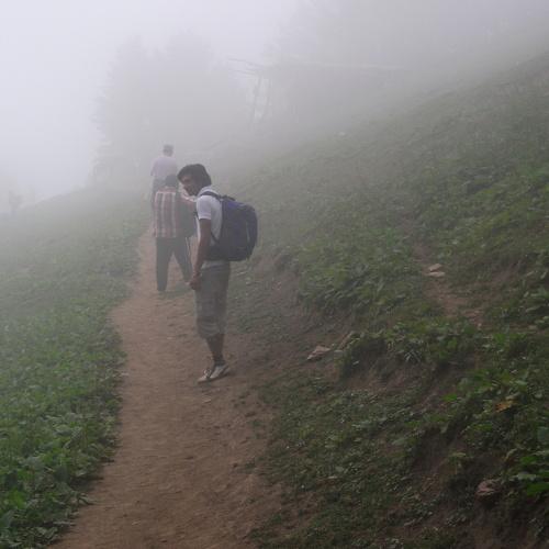 Photo #4778965