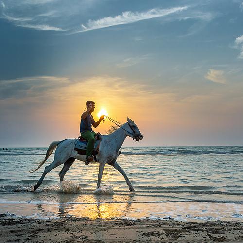 Horse riding on the beach of Bushehr, next to the Russian camp