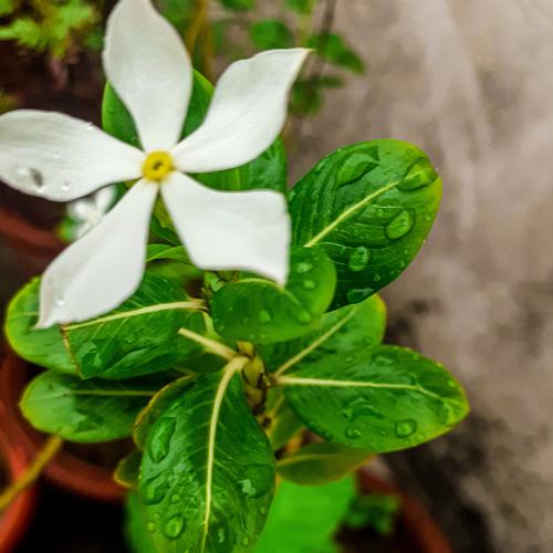 Photo #4779248