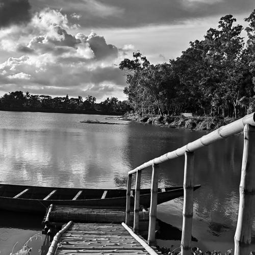 Photo #4779361