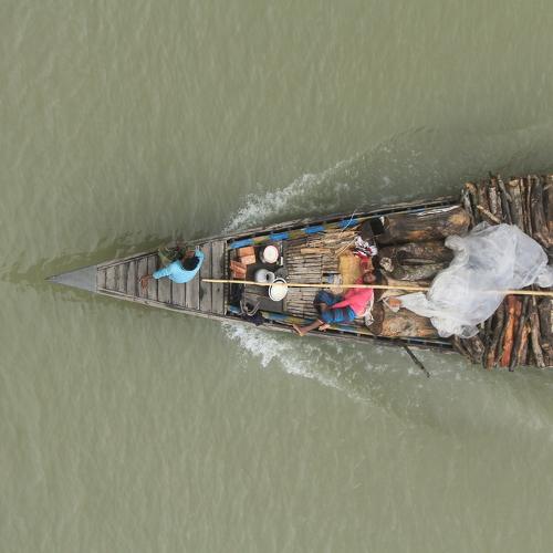 Photo #4779362