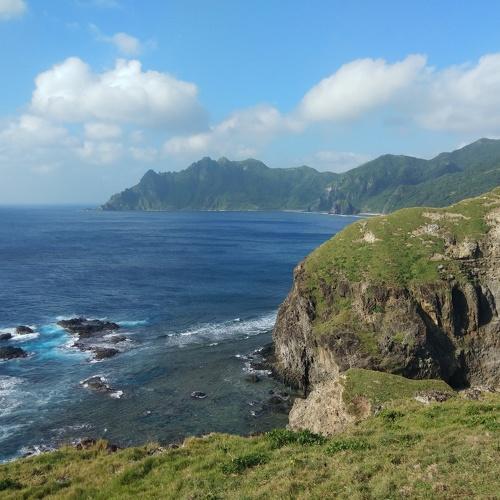Photo #4779590