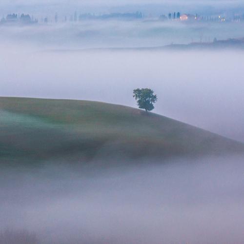 Фотография #4779776