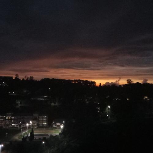 Photo #4779795