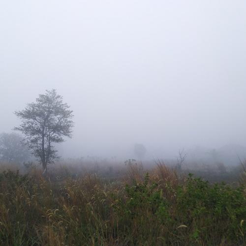 Photo #4780656