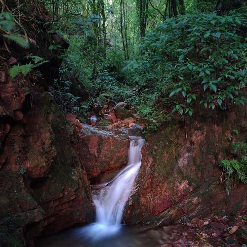 Photo #4780689