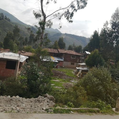Photo #4781008