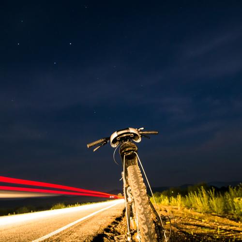 Photo #4781156