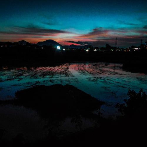 Photo #4781466