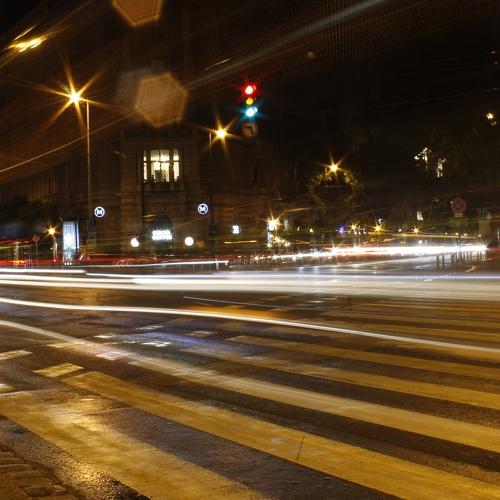 Photo #4781597