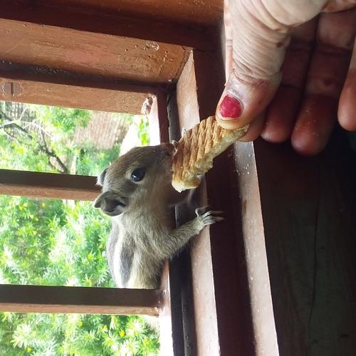 Photo #4781847