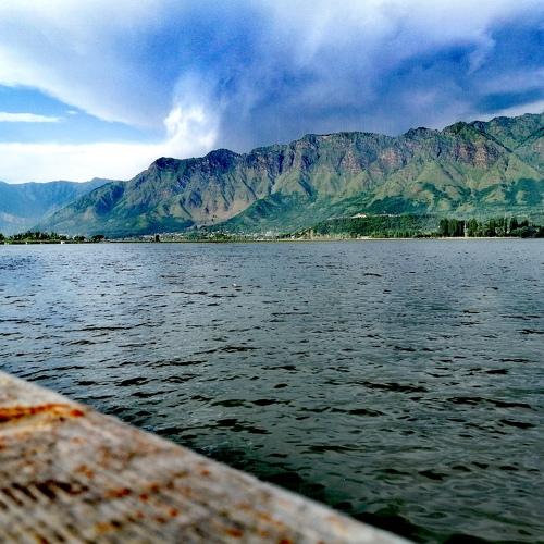 Photo #4781946