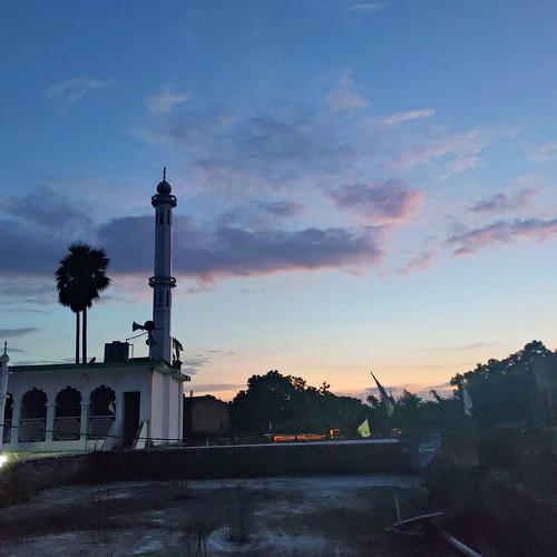 Photo #4782086