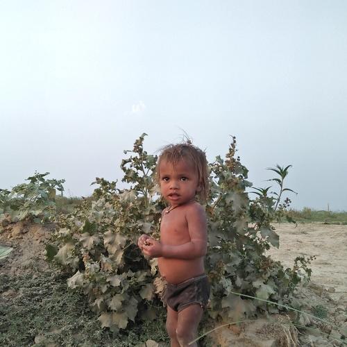 Photo #4782116