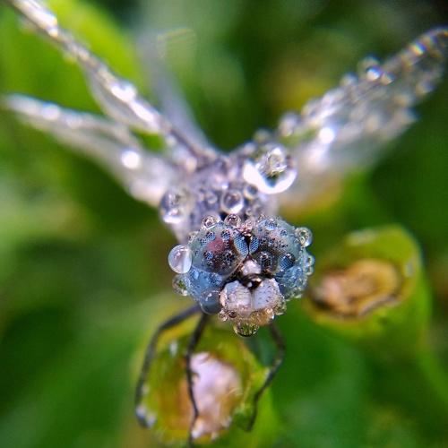 Photo #4782202