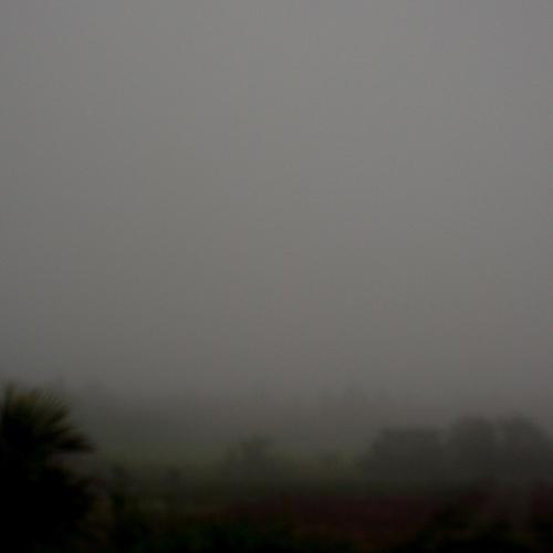 Photo #4782331