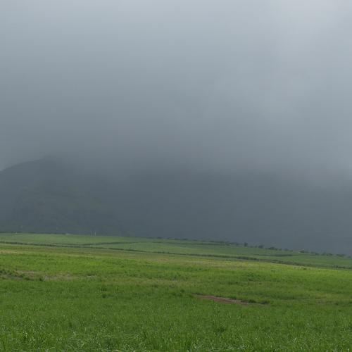 Photo #4782337
