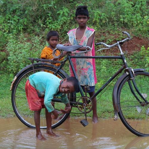 Photo #4782561