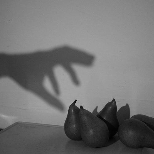 Photo #4782667