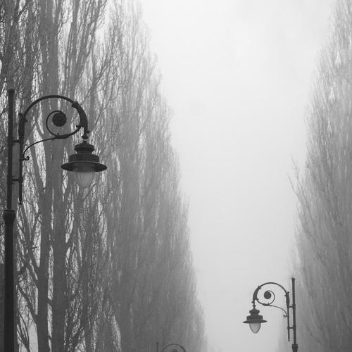 Photo #4782935