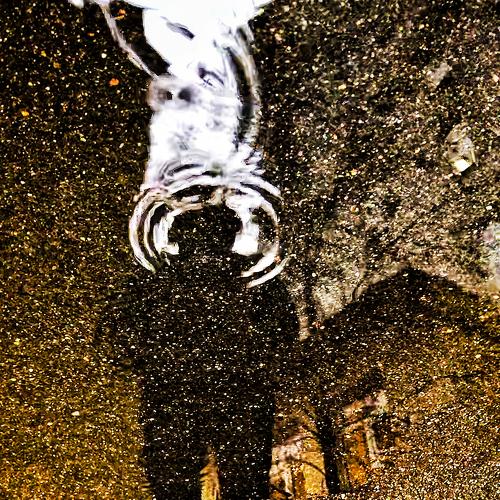 Фотография #4783113