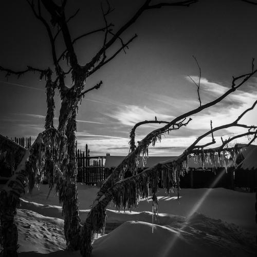 Photo #4783213