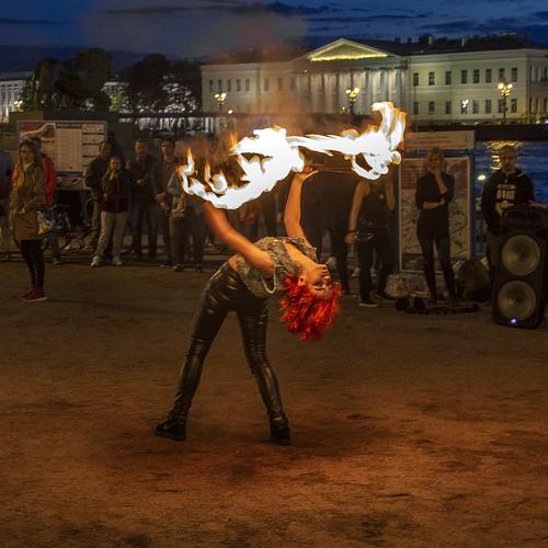 Photo #4783253